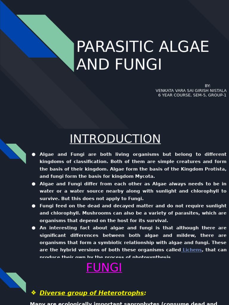 Parasitic Algae and Fungi Overview | PDF | Protozoa | Fungus