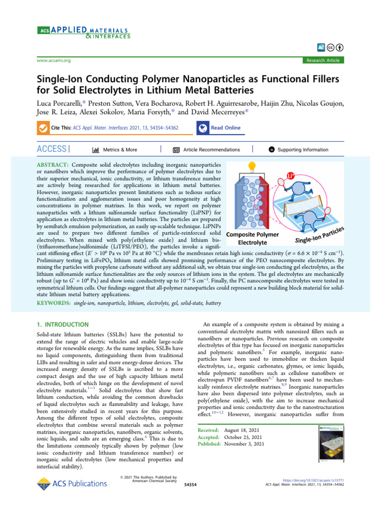 Polymer Nanoparticles for Lithium Batteries | PDF | Nanoparticle ...