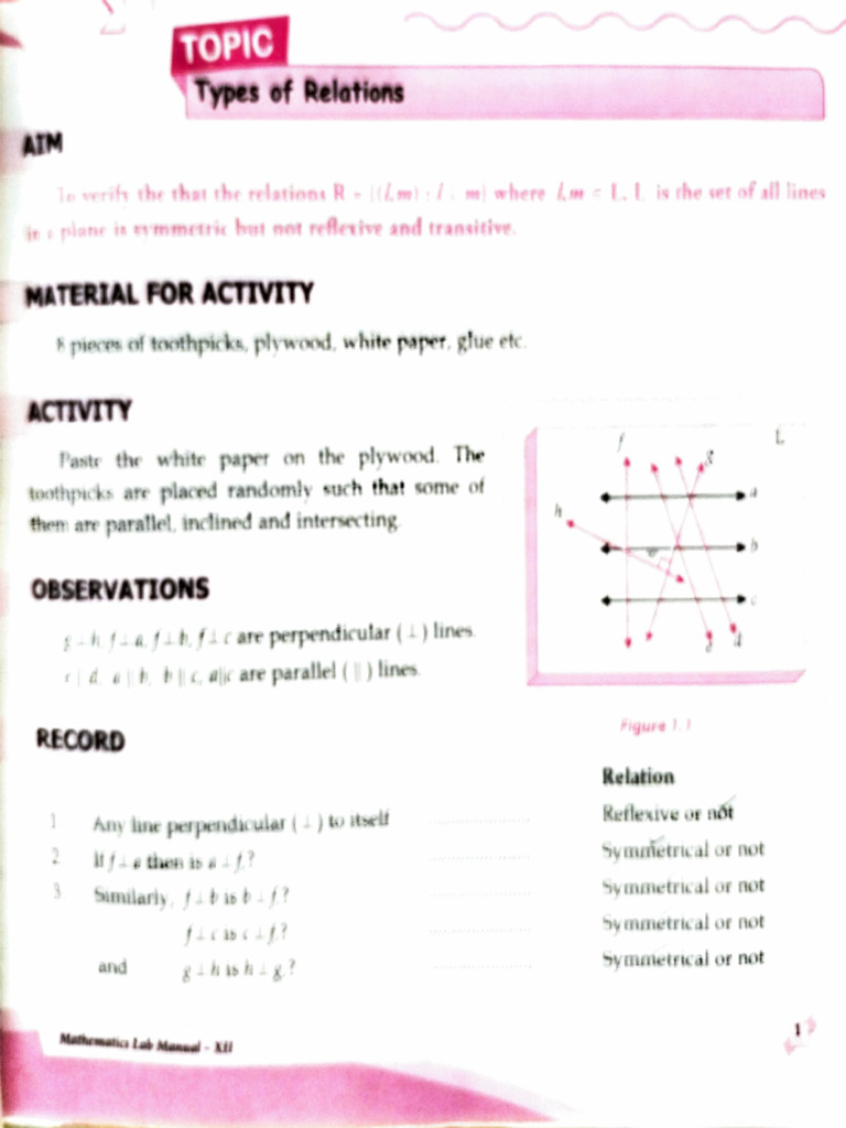Class 12 Maths Lab Manual Activities | PDF | Cartesian Coordinate ...
