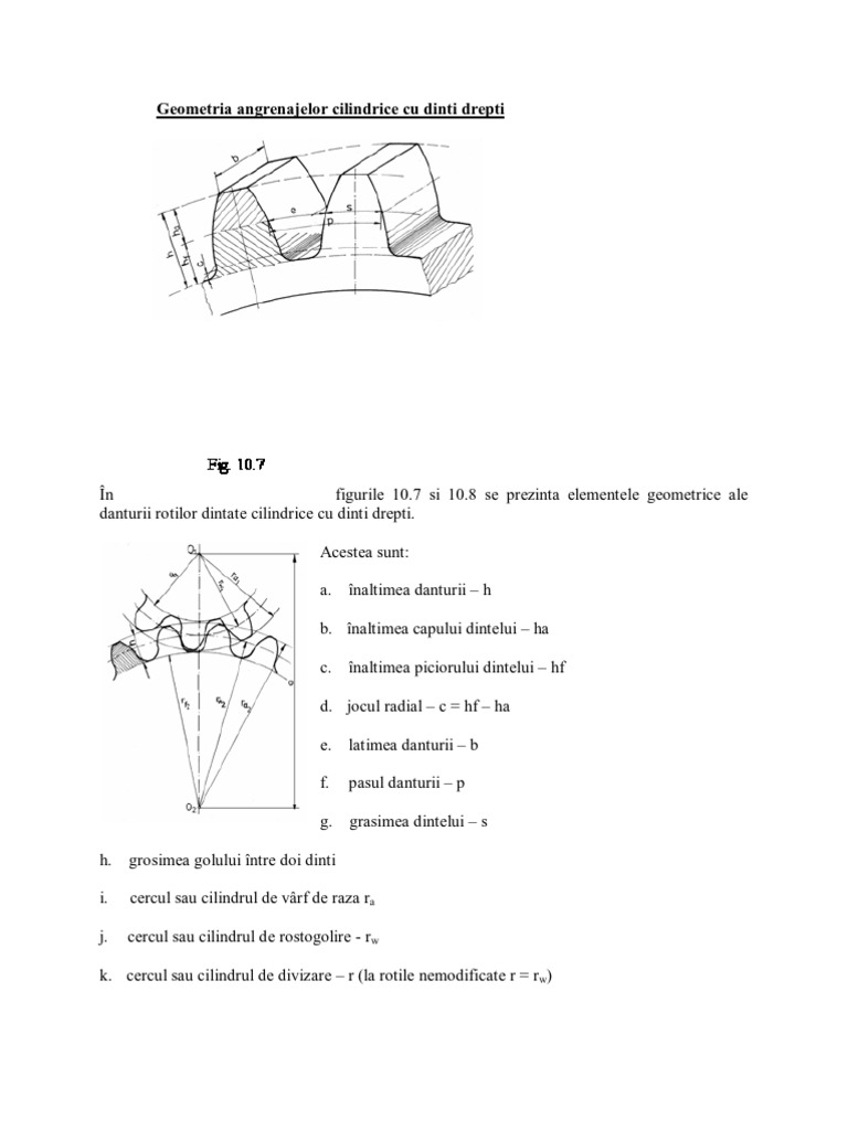 Roti Dintate | PDF