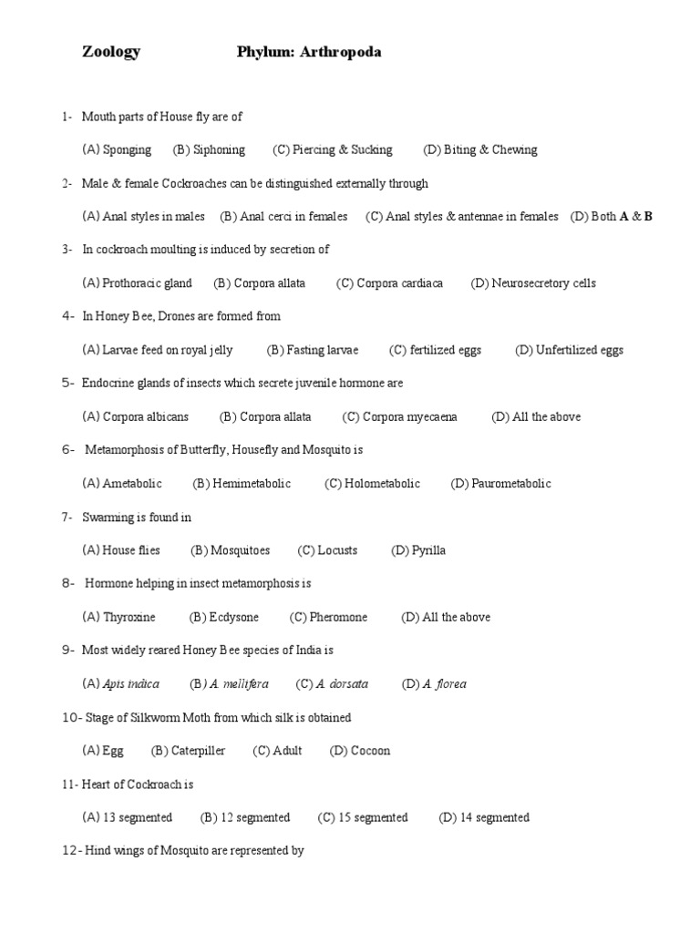 Phylum Arthropoda | PDF | Science & Mathematics
