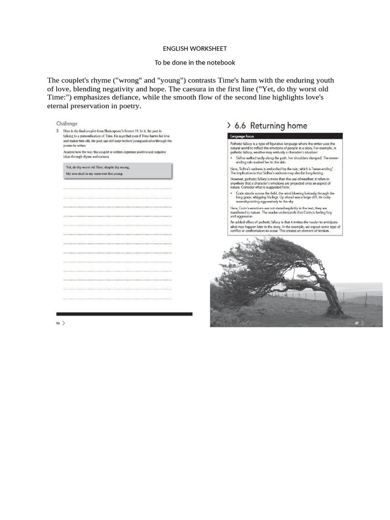 Worksheet+23 1 25 | PDF