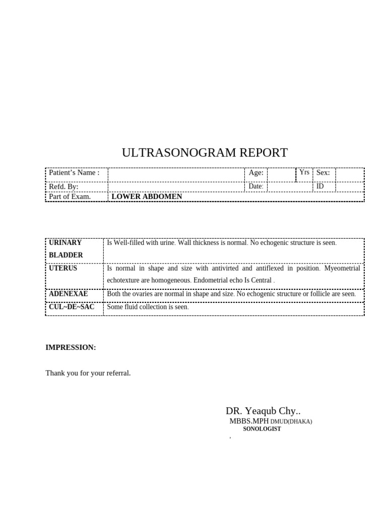 USG OF LOWER ABDOMEN | PDF | Animal Female Reproductive System | Female ...