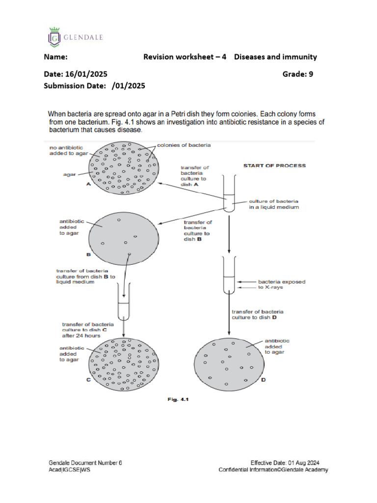 Revision Worksheet – 4 Diseases and Immunity | PDF