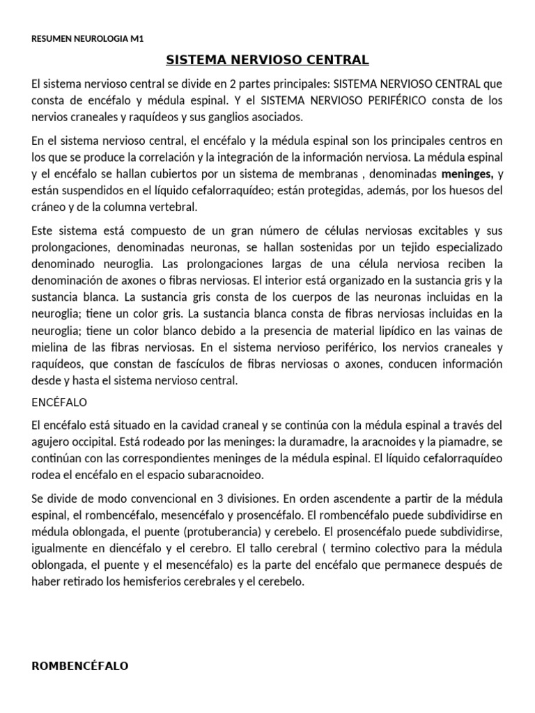 Estructura y Función del Sistema Nervioso | PDF | Médula espinal | Nervio