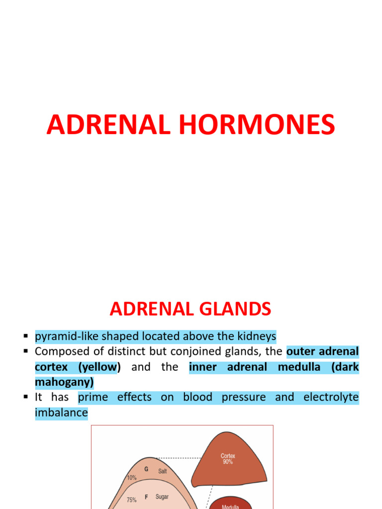 CCHM322 - Adrenal Hormone | PDF | Adrenal Gland | Cortisol