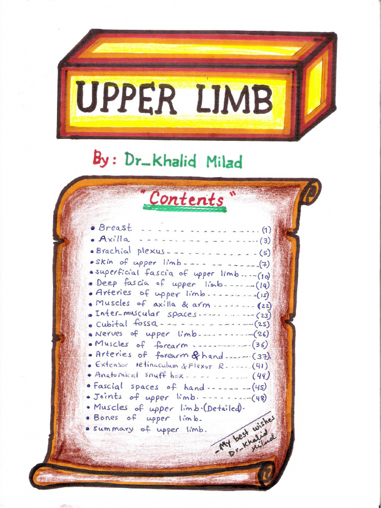 Upper Limb Pdf Pdf