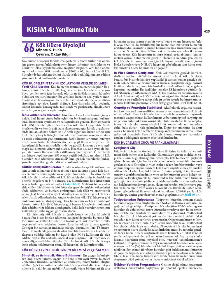 Kisim | PDF