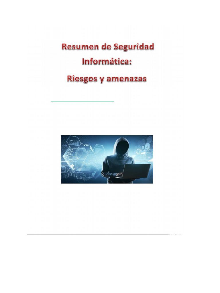 Riesgos y Definición de Seguridad Informática | PDF