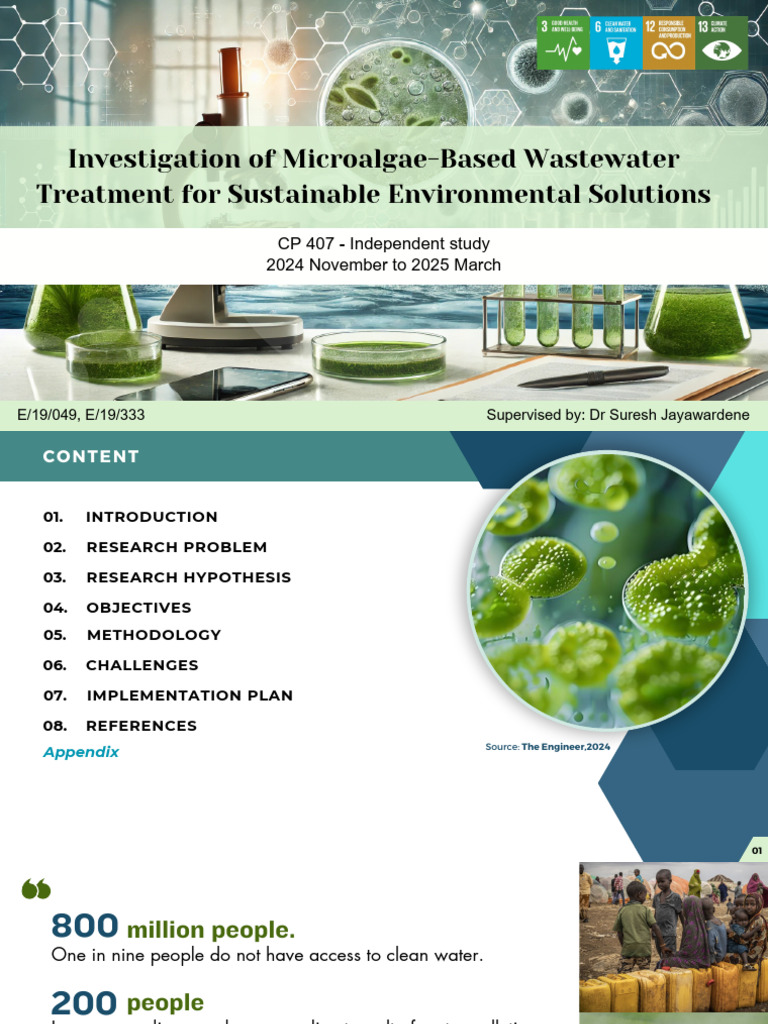 Microalgae for Wastewater Treatment Solutions | PDF | Sewage Treatment