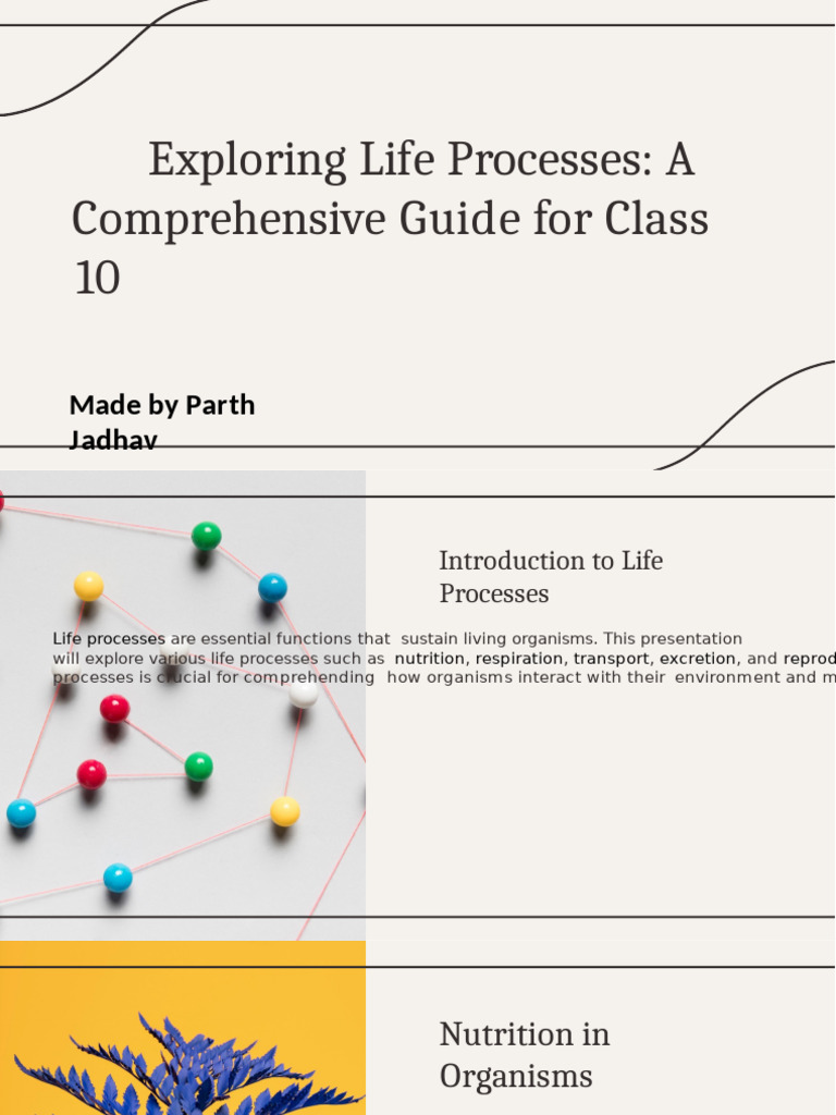 Life Processes | PDF