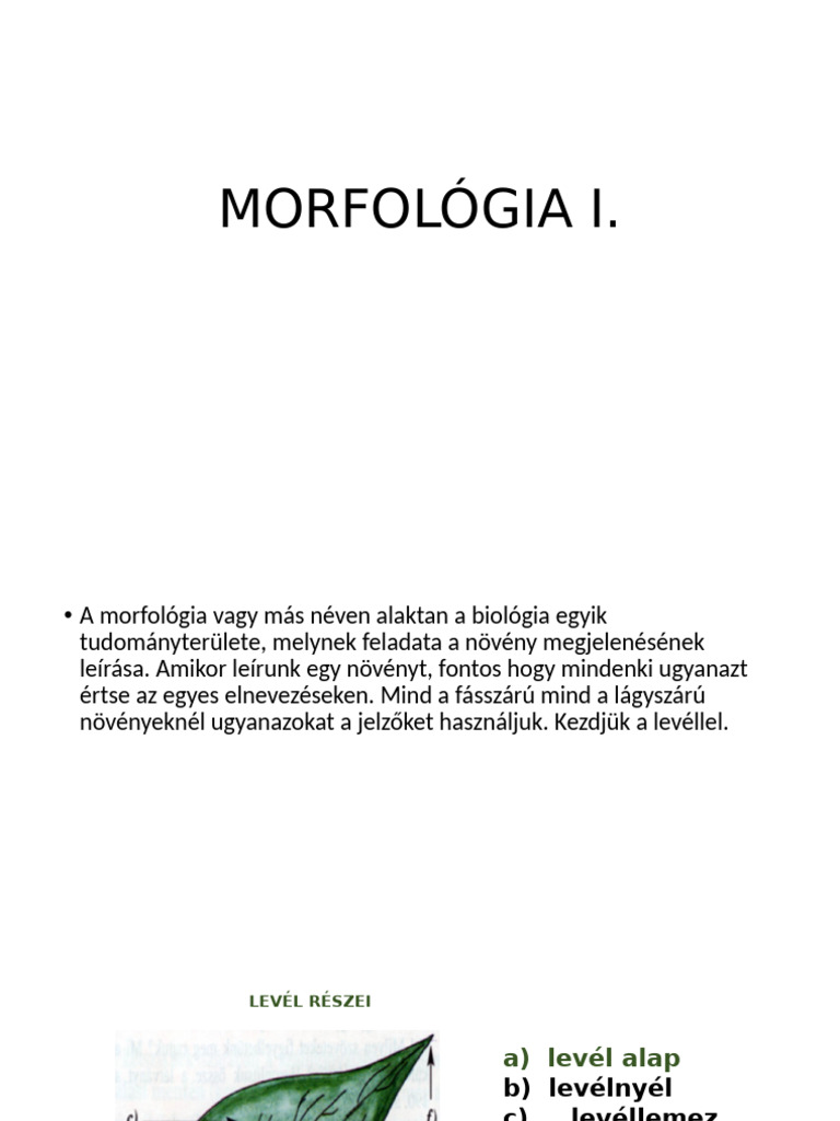 Morfológia I | PDF