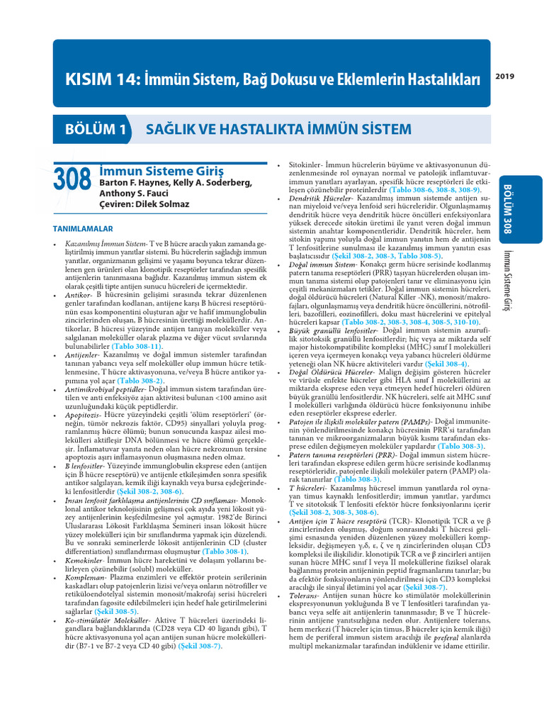 Kisim | PDF