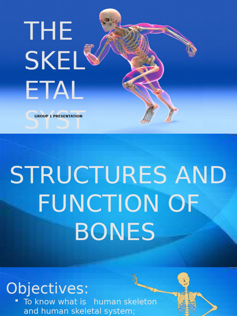 Presentation1-1 (1) | PDF | Vertebral Column | Human Nose