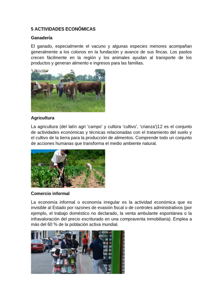 5 Actividades Económicas Clave | PDF