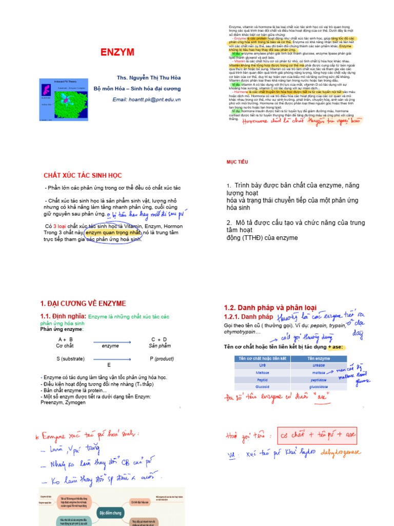 Bài 6a - Enzyme 2 | PDF