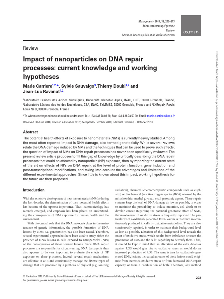 Nanoparticles and Repari Process | PDF | Dna Repair | Gene Expression