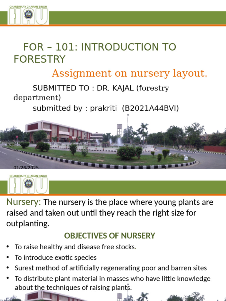 Nursery Layout for Forestry Success | PDF | Plant Nursery | Seed