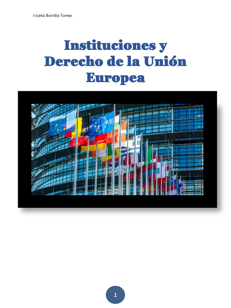 Apuntes de La Unión Europea 2 | PDF | Parlamento Europeo | Política mundial