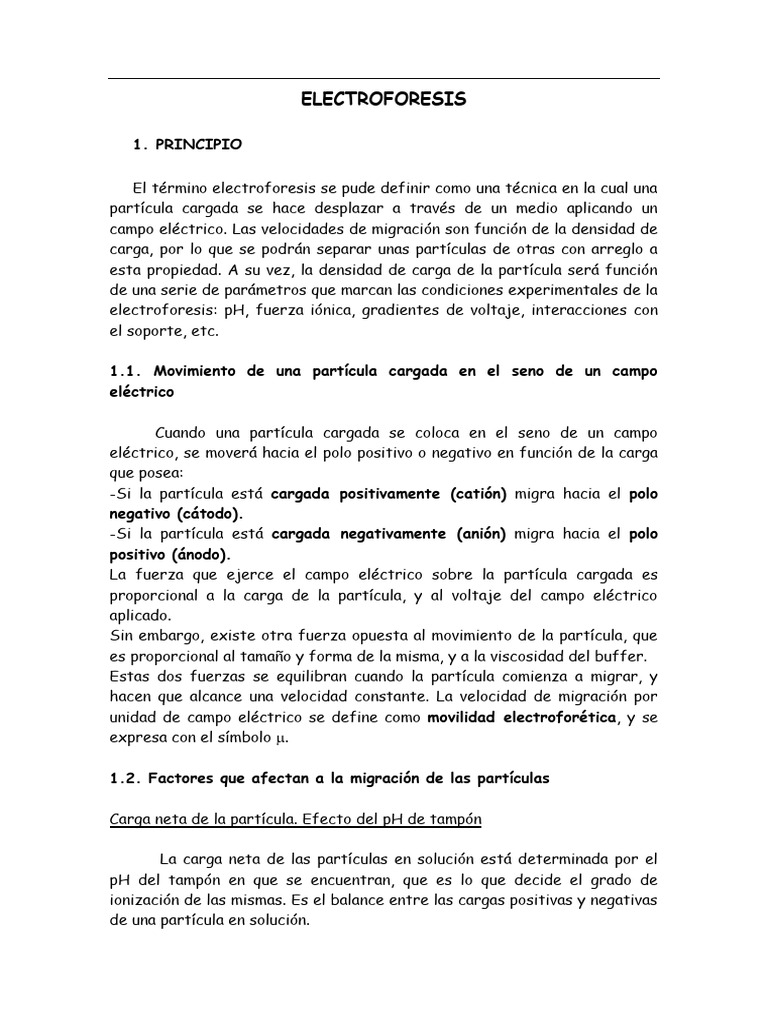 ELECTROFORESIS | PDF | Electroforesis | Química Física