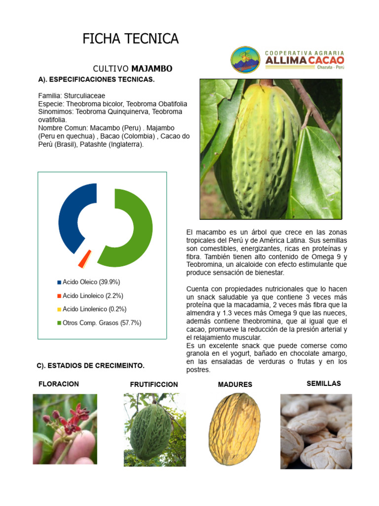 Valor Nutricional del Macambo y Usos | PDF | Maíz | Chocolate