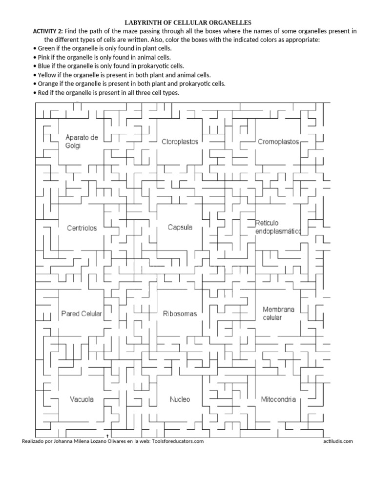 Cell Organelle Maze Challenge | PDF