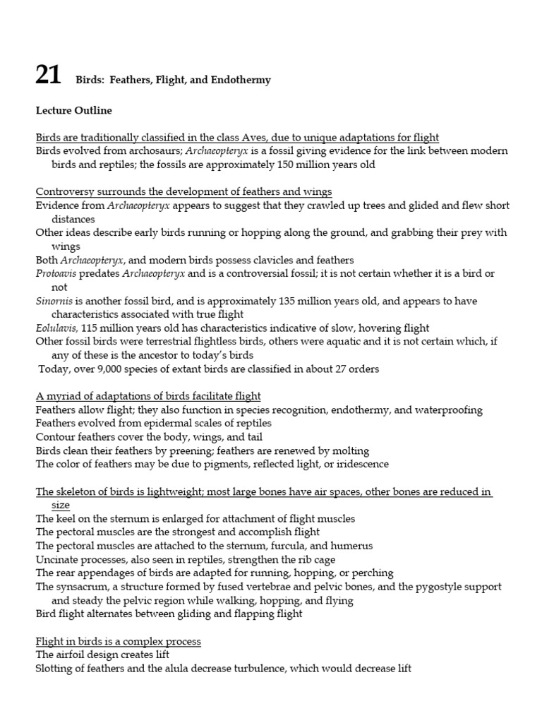 Bird Adaptations for Flight and Survival | PDF | Birds | Feather