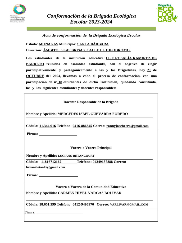 Actas de Conformación de La Brigadas Escolares 2024-2025 | PDF
