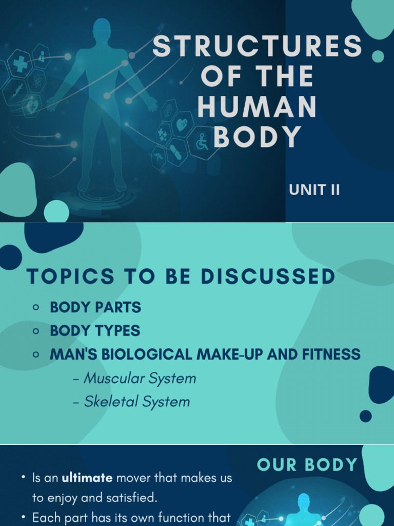 Understanding Body Parts and Types | PDF