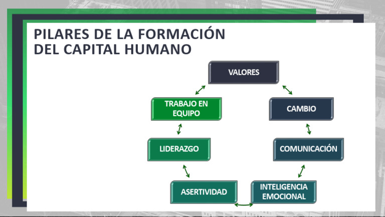 Pilares de la Formación del Capital Humano | PDF