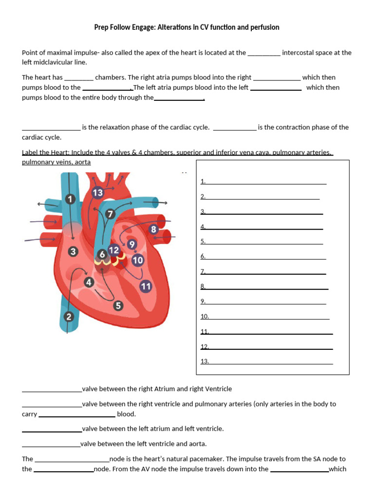 Cardiac Function and ECG Interpretation | PDF | Heart | Atrium (Heart)
