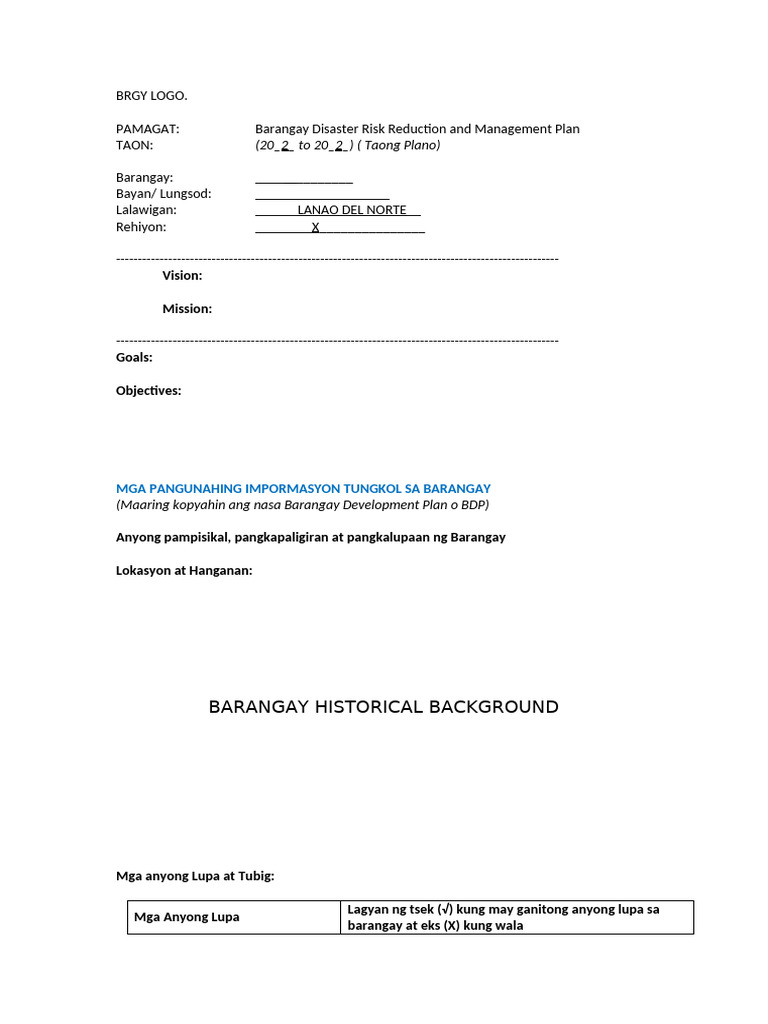 BDRRM Blank | PDF