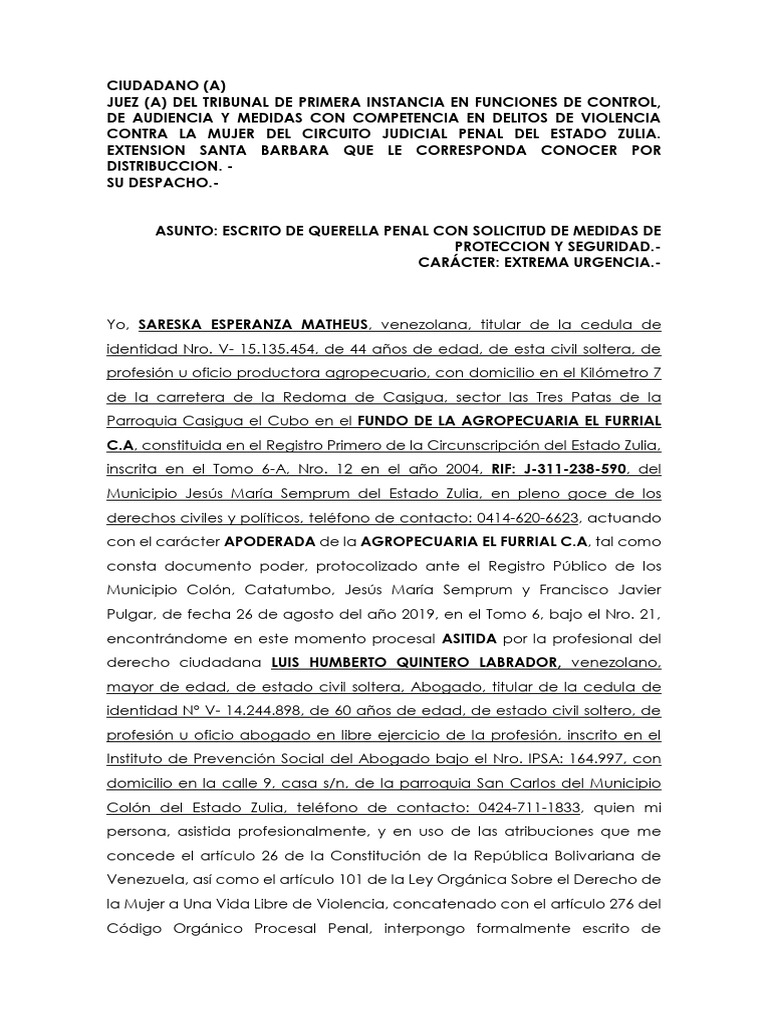 Querella Penal | PDF | Acoso sexual | La violencia contra las mujeres