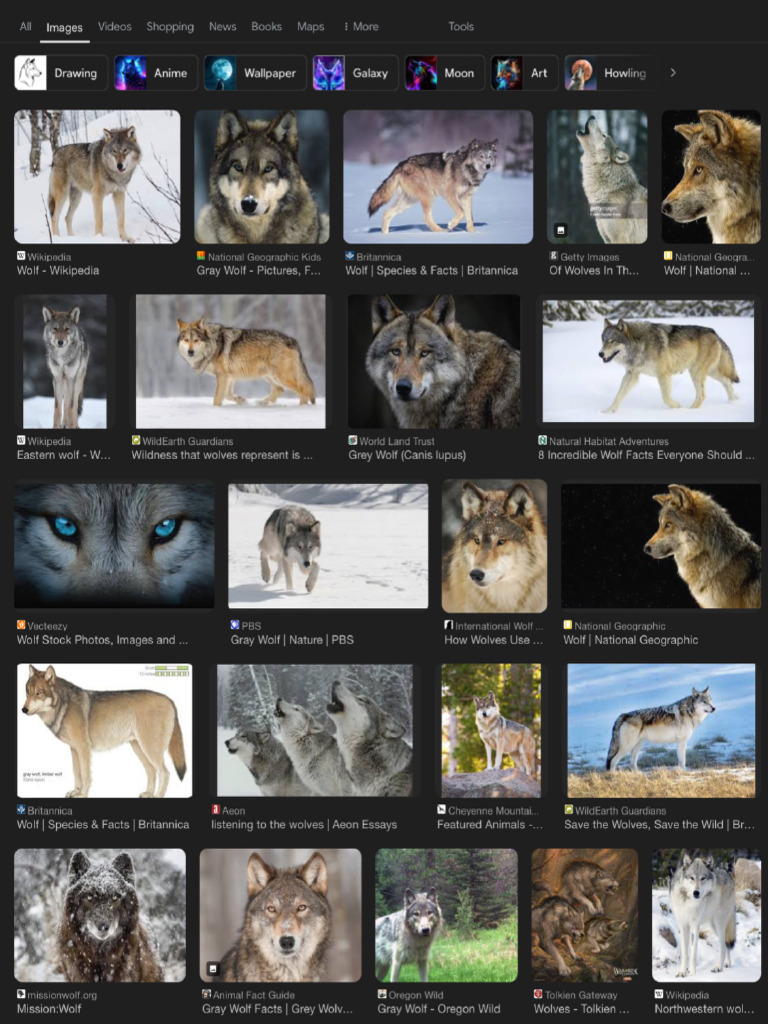 Wolf | PDF