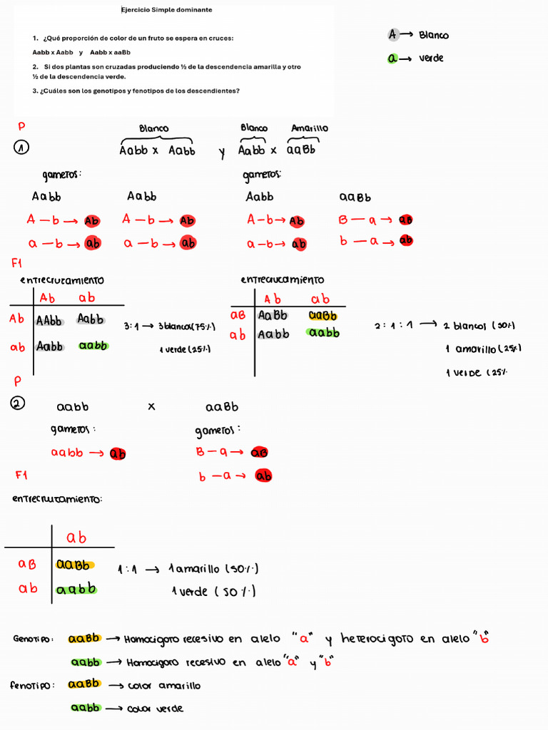 Ejercicio 2 | PDF