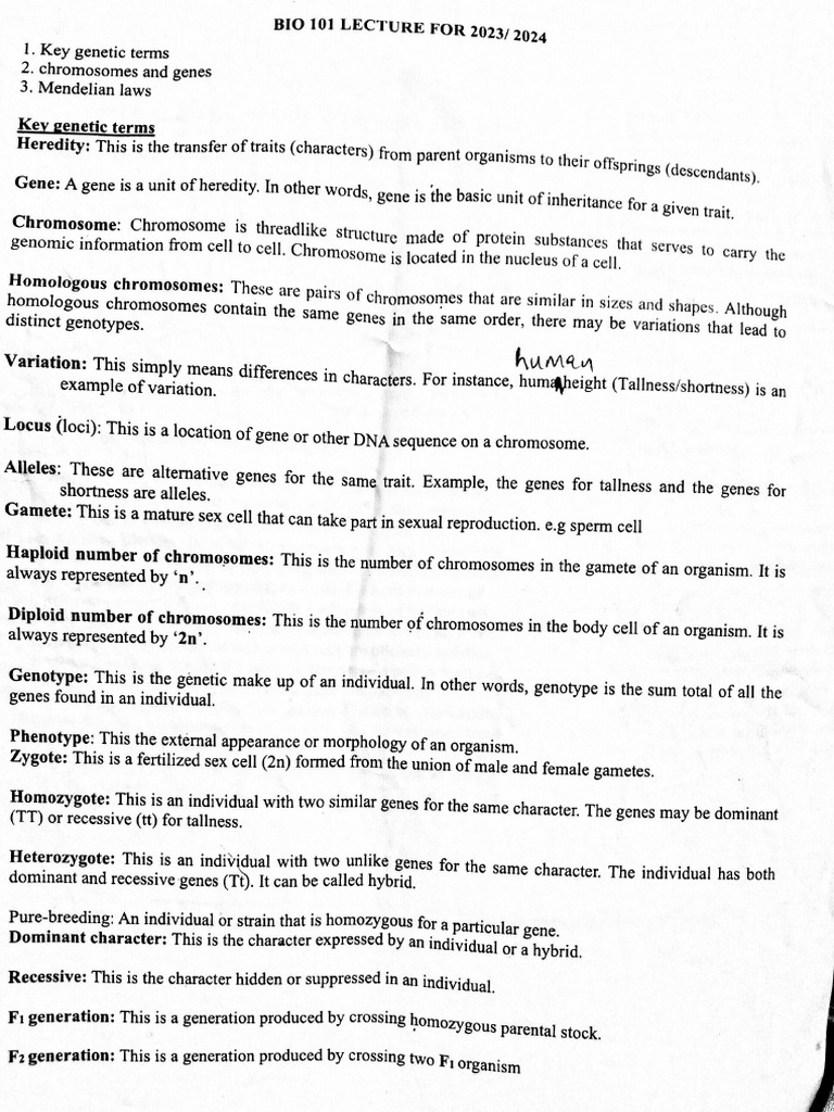 Bio 101 Handouts On Chromosomes | PDF