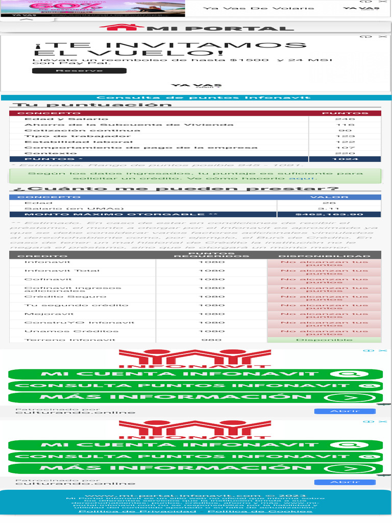 Consulta de Puntos Infonavit | PDF