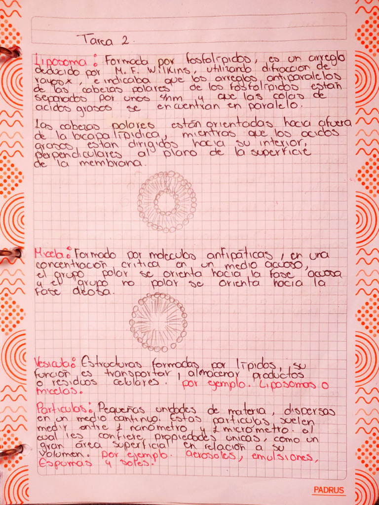 Tarea 2 | PDF
