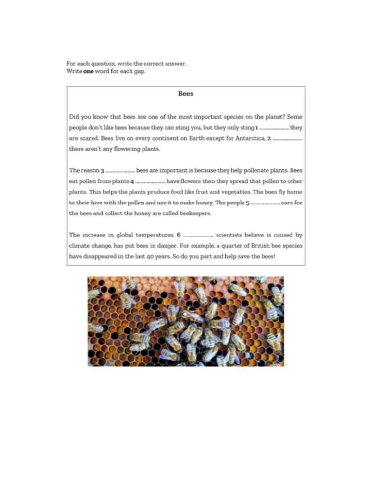 Bees Aaa | PDF