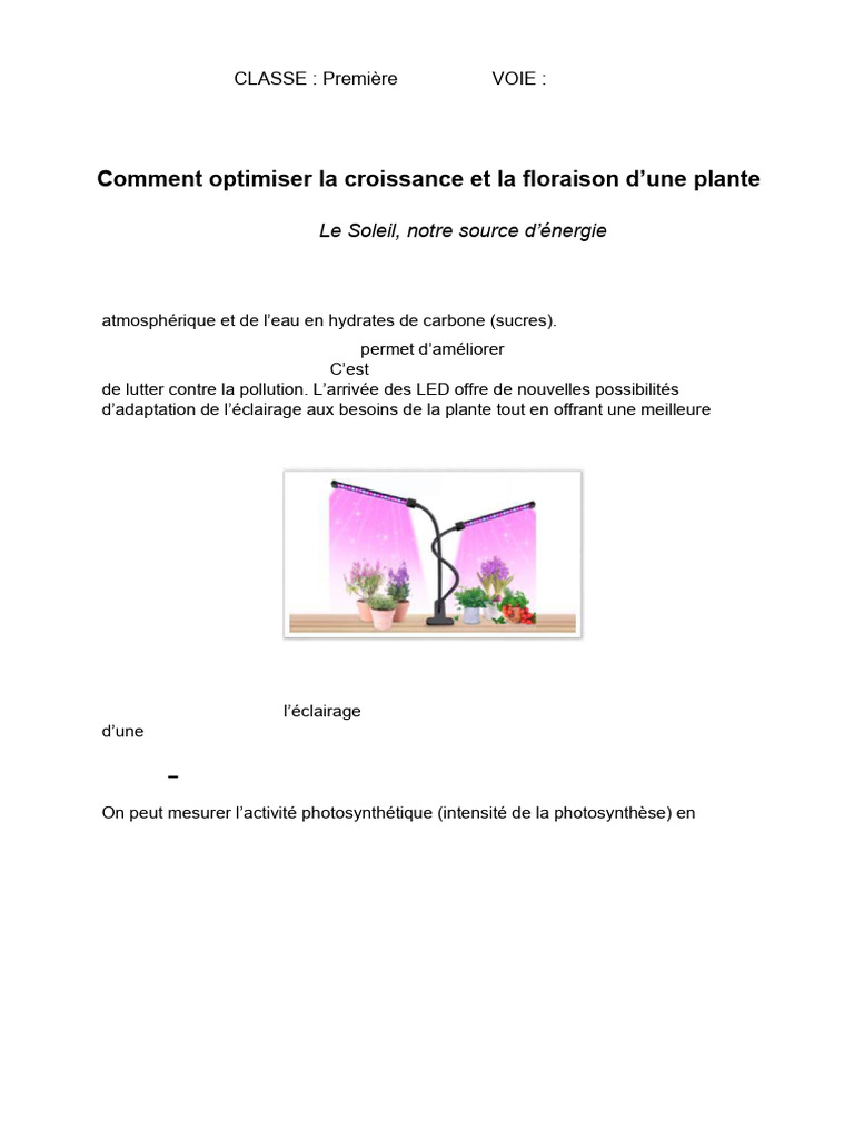 Optimisation de la croissance des plantes | PDF | Lumière | Photosynthèse