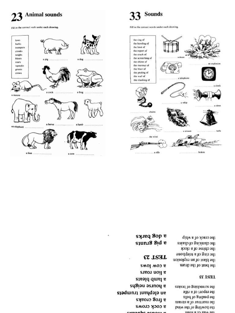 Sounds KEY | PDF