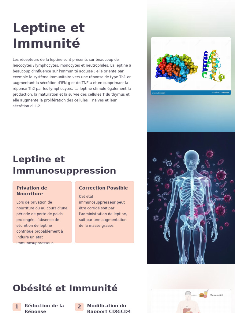 Leptine, Obésité et Réponses Immunitaires PDF Système immunitaire — free download