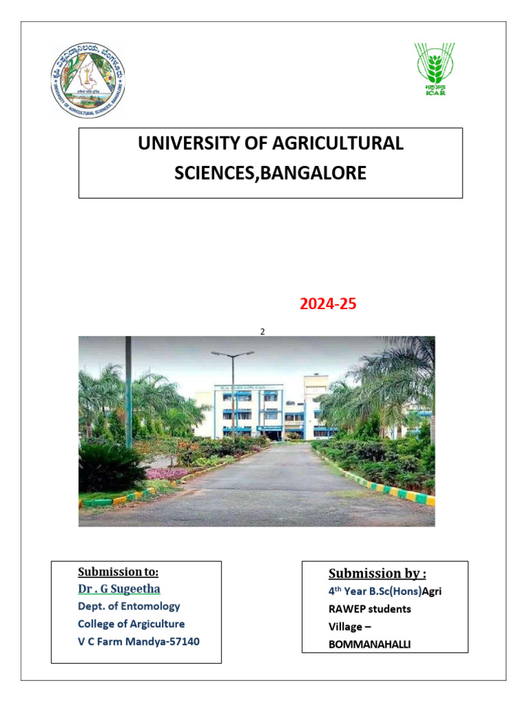 Apiculture Report: RAWE Programme 2024-25 | PDF | Beekeeping | Bees