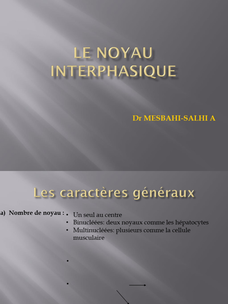 Composants et caractéristiques du noyau | PDF