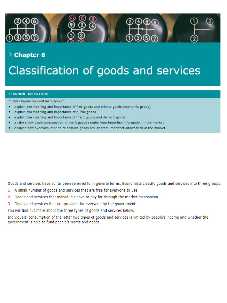 CHAPTER 6 Classification of Goods and Services | PDF