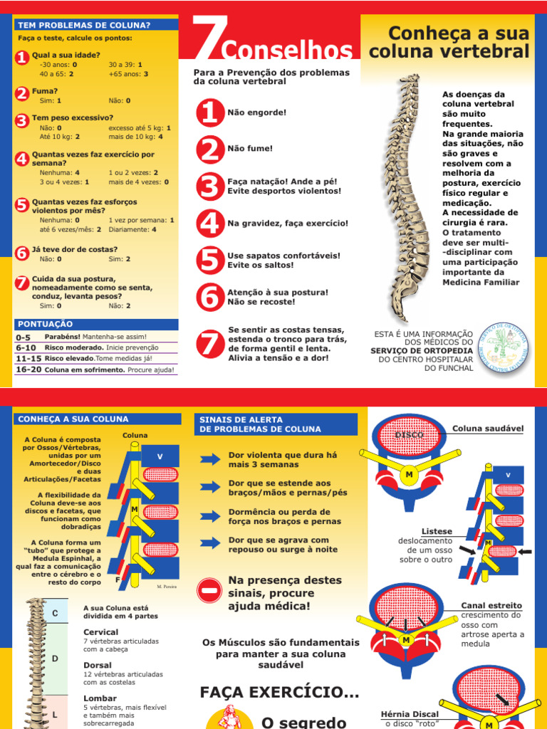 Cuidados e Prevenção da Coluna Vertebral | PDF | Coluna vertebral ...