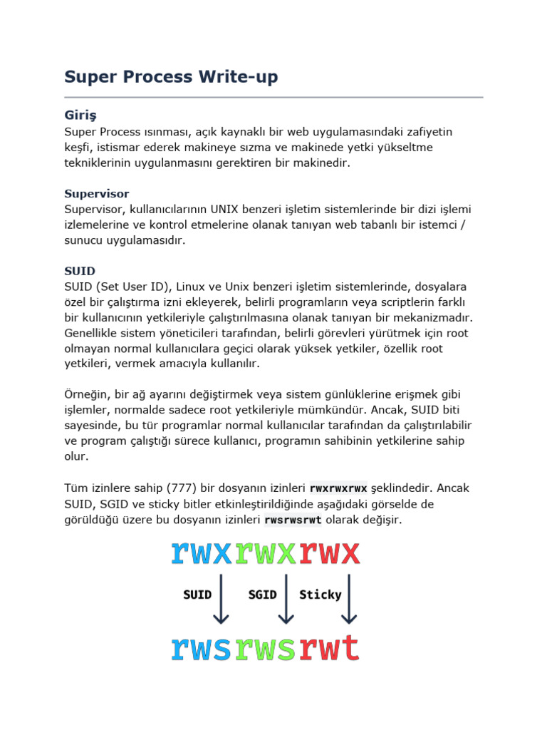 Super Process Write-Up: Supervisor | PDF