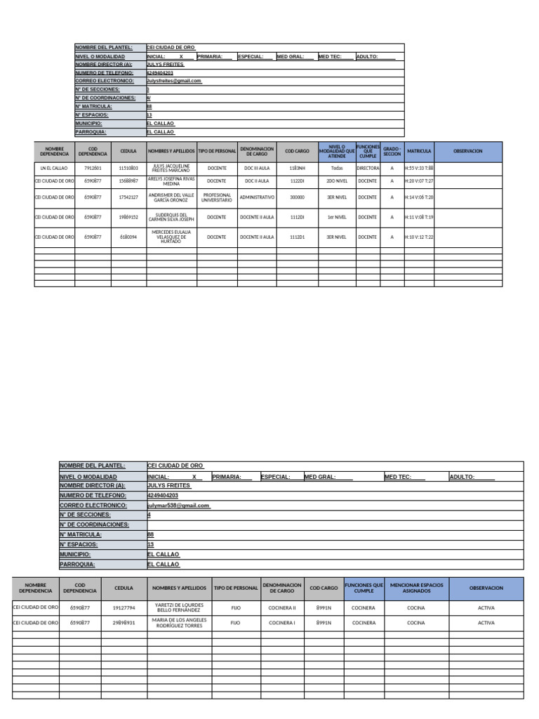 FORMATO DE INFORMATICA 2025-1 CEI CIUDAD DE ORO | PDF