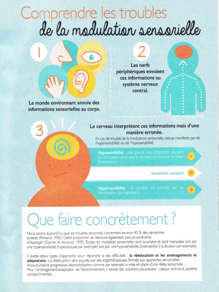 Modulation Sensorielle | PDF