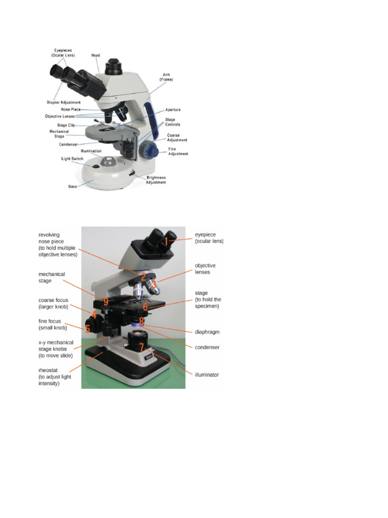 MICROSCOPE | PDF